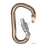 Black Diamond RockLock Screwgate Locking Carabiner: Mocha