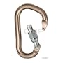 Black Diamond RockLock Screwgate Locking Carabiner: Mocha