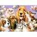 Ravensburger Garden Pals Jigsaw Puzzle, 300pc