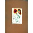 gaillardia Antiquité C1831 gaillardia Antiquité C1831
