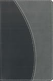 The Bible (New International Version)