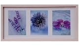 Produkt-Bild: Edler HENZO Holzbilderrahmen - f&uuml;r 3 Bilder - 13 x 18 cm - Bilderrahmen aus Holz & Glas - Foto Rahmen - Holzrahmen