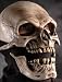Death Skull Mask w/ Moving Mouth Action Adult Halloween Costume Accessory
