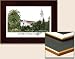Collegiate- Loyola Marymount University Laminated Lithograph
