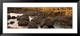 Giant's Causeway, Antrim Coast, Northern Ireland Places Framed Art Poster Print by Panoramic Images, 51x23