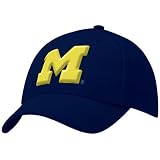 Nike Michigan Wolverines Navy Blue Swoosh Flex-Fit Hat