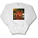 SmudgeArt Fractalius Flower Designs - Christmas Cactus - Sweatshirts