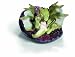 Schleich 70419  - Elfen, Nugur