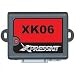 Directed Electronics XK06 GM Immobilizer Override Interface