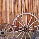 McRice Photo Papers 12'x12' Wagon Wheels; 25 Items/Order