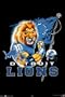 Detroit Lions Poster Print, 22x34