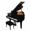 Cameron & Sons CSM-48P EBHP 4' 8'' Acoustic Player Grand Piano, High Gloss Black (petite grand piano)