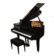 Cameron & Sons CSM-48P EBHP 4` 8`` Acoustic Player Grand Piano, High Gloss Black (petite grand piano)