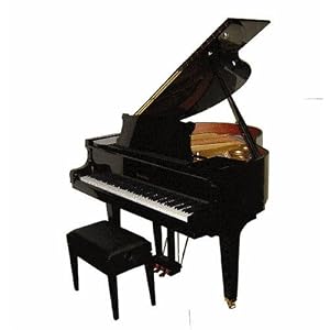 Acoustic Player Grand Piano Acoustic Player Grand Piano