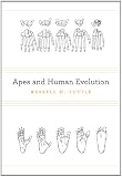 Apes and Human Evolution