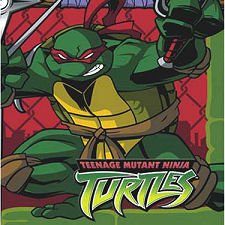 Teenage Mutant Ninja Turtles Napkins 16ct