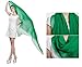Wedtrend Women's Bridal Chiffon Shawl Long Evening Scarves（extra Long 2 Meters）