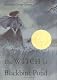 The Witch of Blackbird Pond