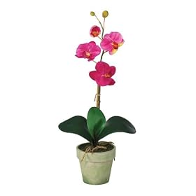 Potted Phalaenopsis Silk Orchid Arrangement