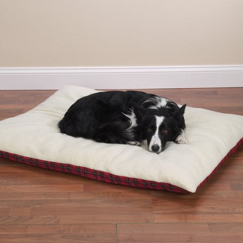Medium - Red - Plaid Pillow Dog Bed with Berber Top