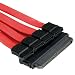 50cm Sas serial Attached Scsi Cable For Connecting 4 Sata Drives