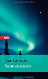 Sonnensturm: Roman (Das Besondere Taschenbuch) - &Aring;sa Larsson