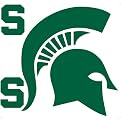 Michigan State University Removable Logo - 24x24"