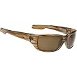 Spy Nolen Sunglasses - Spy Optic Steady Series Casual Eyewear - Brown Stripe Tortoise/Bronze