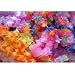 Mega Silk Lei Assortment (50 ct)