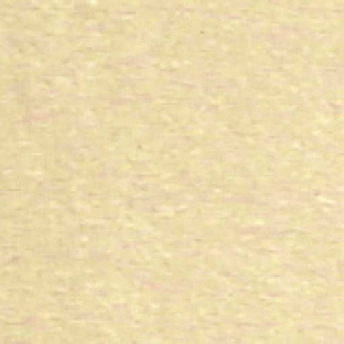 Dollhouse Miniature Beige Carpet