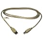 ABC Products USB cable Lead C6518A for ALL HP Hewlett Packard Scanjet, OfficeJet, Inkjet, Picturemate, Photosmart, Laserjet, Deskjet All in One 1 Monolaser Scanjet Laser Digital sender Printer including 5530, k550, 290, P2015d, 3000, P1505, P1005, 2840, P1505n, J7580, L7680, 5610, 4315, K5400, L7780, L7580, 7210, 4215, 9110, 7110, K850DN, K555DTN, 9120, 7310, 9130, D1460, 6980, 6940, 4260, 460CB, 460C, 1280, D2360, 460, 840C, 840, 9800D, 5440, 6620, 940C, 1600, 2605DN, 2600N, 3055, 2605, P2014, 3600, 3600N, 102NN, 5550DN, 5550N, 5550, 3390, 4700, 3000DN, 3000DTN, 1022N, 3392, 1300, 4100, 4600, 9040DN, 3800, 9050N, 4350DTN, 9500HDN, 9040, 9040N, 4250TN, 9500N, 2820, CM4730, 1100, 1510, 7660, 7550, C4280, D5160, C5280, C3180, C5180, D7360, 475, A826, D7160, C6180, 385, 375, 325, 8250, C7280, 8750, 2575, A526, C7180, 7260, 145, 8750GP, 1200D, 130NR, 2800DTN, 2800DT, 2800, 1018, 1020, 1022, 3050, 2400, G4010, 5590P, 3320, 9250 etc etc