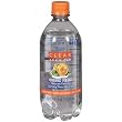 Clear Choice Golden Peach Sparkling Water - 12 Pack