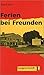 Felix Und Theo: Ferien Bei Freunden (German Edition)