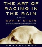 The Art of Racing in the Rain
