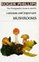 Mushrooms: The Photographic Guide to Identify Common & Important Mushrooms (Photographic Guide to Identity)