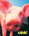 Oink Fine Art Print / Poster 16.00 x 20.00 in.