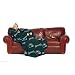 Philadelphia Eagles Adult Comfy Throw Blanket with Sleeves