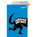 Burning Your Boats: Collected Short Stories