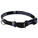 Kansas City Royals Adjustable Dog Collar