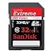 SanDisk Extreme SDHC Memory Card (SDSDX3-032G-A21)
