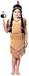 Girls Little Pow Wow Indian Girl Costume - Toddler