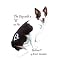 Love Story prayer dog lovers, pets, childrens picture book,