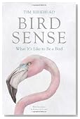 Bird Sense: What It's Like to Be a Bird