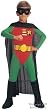 Children's Robin Costume (Size:Medium 8-10)