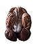 Herindera Human Skull with Brain Dissectable in 8 parts RS.1000.00