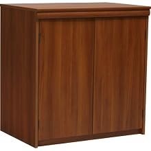 Ameriwood Expert Plum 2-Door Storage Cabinet