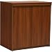 Ameriwood Expert Plum 2-Door Storage Cabinet