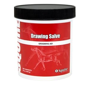 Drawing Salve Grooming Aid, 14 oz