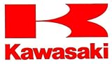 New Genuine Kawasaki Performance Accessories / Concours 14 / Concours 14 Cover / Pt # K99995-871