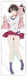 冴えない彼女の育てかた 加藤恵ポニーテールVer. スムース抱き枕カバー